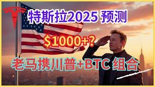 Tesla2025展望 预测。You are not ready