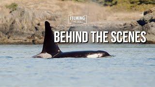 Unveiling The Secrets Of Filming Killer Whales In The Wild! | Wildlife Filmmaking Exposed