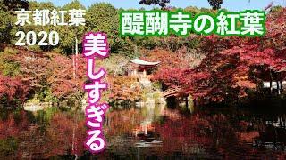 「醍醐寺の紅葉」世界遺産はやはり素晴らしい。2020/11/15