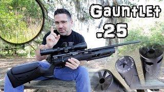 Umarex Gauntlet .25 Air Rifle (Review) + Accuracy TEST - 50 & 100 Yard - Regulated PCP Pellet Gun