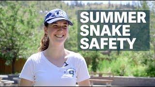 Summer Snake Safety Tips - Thompson Rivers University