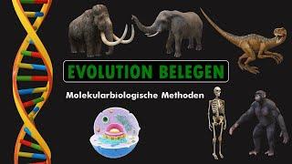 EVOLUTION BELEGEN - Molekularbiologische Methoden