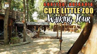 Goritsa Zoo - A Quiet And Pleasant Place. Virtual Walking Tour - Nature Walk