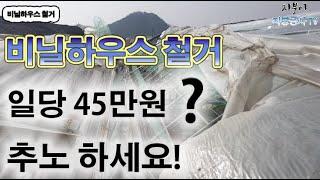 (비닐하우스 철거) 일당45만원!!!???  일단 추노하세요