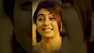 deepak dhiman company video