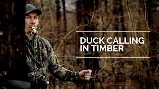 How to Duck Call in the Timber
