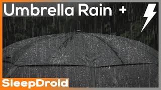 ► Rain on an Umbrella 2~Rain & Thunder Sounds for Sleeping, Rain Under Umbrella (Lluvia Para Dormir)