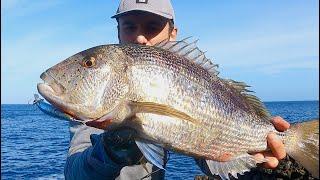 SPINNING INSHORE in ITALIA - Dentice sotto la schiuma - SNAPPER under the foam!