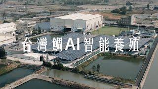 【口湖台灣鯛】台灣鯛AI智能養殖池