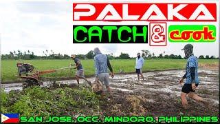 EP121 - Paghuli ng Palakang Bukid | Sinampalukang Palaka | Occ. Mindoro