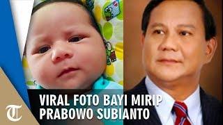 Viral di Medsos Foto Bayi Mirip Capres Nomor Urut 02 Prabowo Subianto