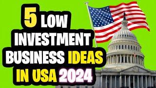  USA Business Ideas with Low Investment | 2024 | American Business Ideas | Business in USA