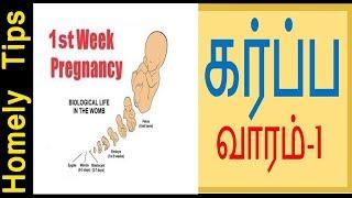 கர்ப்பம் முதல் வாரம் பற்றி குறிப்புகள்|1st week of pregnancy|Symptoms in First Week of Pregnancy