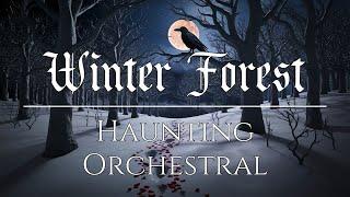 Winter Forest Walk ‍⬛ Haunting Orchestral Music