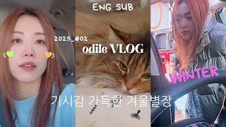 (ENG) 느좋겨울루틴️중딩이랑 썰매썰순딩이 치즈오딜 브이로그 odile VLOG