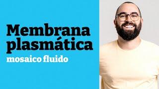 A estrutura e função da membrana plasmática - Aula 17 - Módulo 1 - Prof. Guilherme