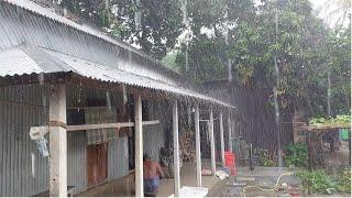 Wonderful rainy season in Bangladesh  village / Village rainy day