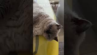 이 정도면 반갑게 맞아주는 편임