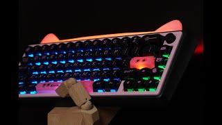 RGB Cat Ears！on the keyboard Chilkey paw65 unbox