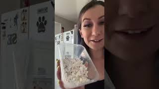 Making pet popcorn   || with Boots & Buttons