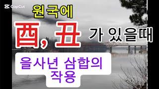 지지에 酉과 丑가 있을때_을사년의 사유축 삼합의 작용