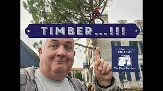 Timber    !!! #168