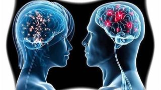 Чем отличается мозг мужчины от мозга женщины? - Все обо всем
