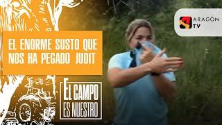 El enorme susto que nos ha pegado Judit