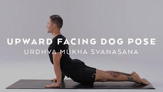 How to do Upward Facing Dog Pose | Urdhva Mukha Svanasana Tutorial with Dylan Werner