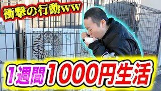 【サバイバル】1週間1000円だけ生活したら人格が壊れ大変な行動に出た！！