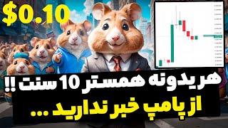 رسیدن قیمت همستر به 10 سنت اما کی الان بخریم ؟ از پامپ همستر خبر نداری ...