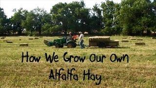 How We Grow Our Own Alfalfa Hay