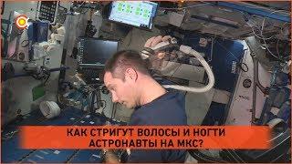 Космос для детей: как стригут волосы и ногти на МКС?