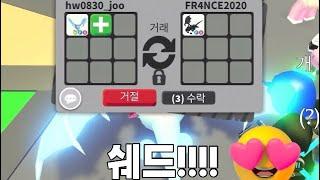 펫 가치 알아보기!   [입양하세요]