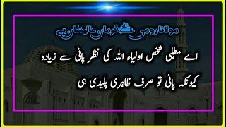 Aulia Allah Ki Nazar Pani ।। JALALUDDIN RUMI QUOTES ।। Sufinism ।।  Rumi Urdu QUOTES