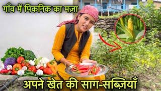 पहाड़ों में अपने खेत की साग-सब्ज़ियाँ ️🫑 || गाँव में पिकनिक  || Pahadi lifestyle Vlog || GFN