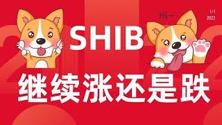 2.5 SHIB（shiba）柴犬币屎币行情分析，是继续上涨还是冲高回落，shib柴犬币最新消息，小白投资学习教程！