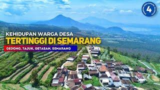 KEHIDUPAN DESA TERTINGGI DI SEMARANG [EP. 4] Pemandangan Alam Desa Gedong, Getasan, Semarang