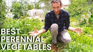 5 Delicious PERENNIAL Vegetables [Come Back Every Year!]  Grow More Food At Home!