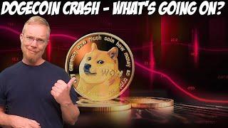 Dogecoin Crash - What's Going On?