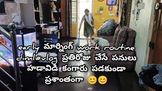 early మార్నింగ్ work routine diml#vlog ప్రతిరోజు చేసే పనులు హడావిడి కంగారు పడకుండా ప్రశాంతంగా 