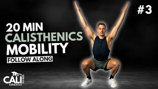 20 Min MOBILITY & FLEXIBILITY FOR CALISTHENICS | Day 3