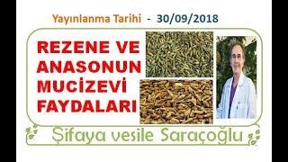 REZENE VE ANASONUN MUCİZEVİ FAYDALARI ~ Şifaya vesile Saraçoğlu