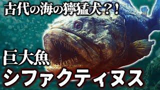 【ゆっくり解説】白亜紀で最も獰猛！6mの巨大魚　シファクティヌスとは何者か？