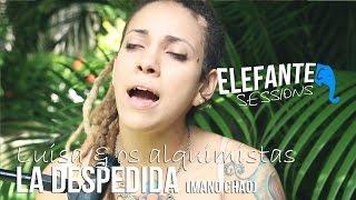 ELEFANTE SESSIONS | Luisa & os alquimistas - La Despedida (Manu Chao)