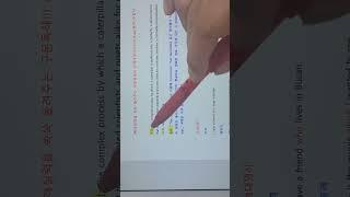 (영어문법/영어독해 실력을 쑥쑥 올려주는 구문독해!!) 관계대명사(which,that)/동격/수일치