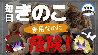 【ゆっくり解説】きのこを毎日食べるとどうなるの？食用キノコも危険！スーパーで購入できるキノコについて