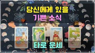 타로 운세 - 당신에게 있을 기쁜 소식