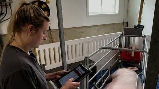 How Technology is Impacting a Generational Ontario Hog Farm