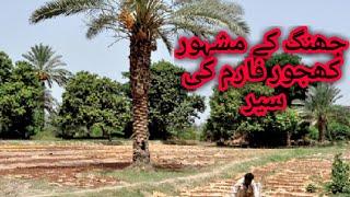 Dates Farm Jhang Historical Place to Visit